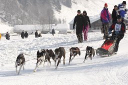 Lenk 2012 SM